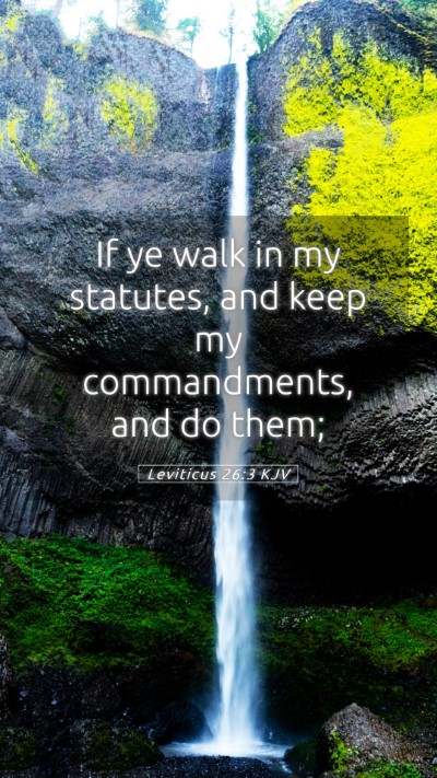 Picture 05 - Leviticus 26:3 KJV Mobile Phone Wallpaper - If ye walk in my statutes, and keep my - Mobile Bible Verse Wallpaper