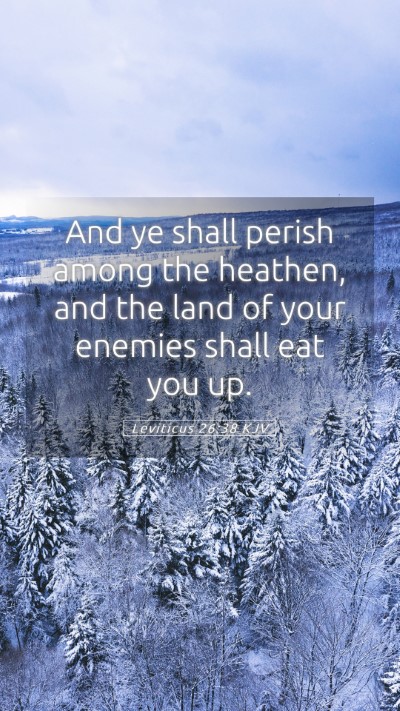 Picture 05 - Leviticus 26:38 KJV Mobile Phone Wallpaper - And ye shall perish among the heathen, and the - Mobile Bible Verse Wallpaper