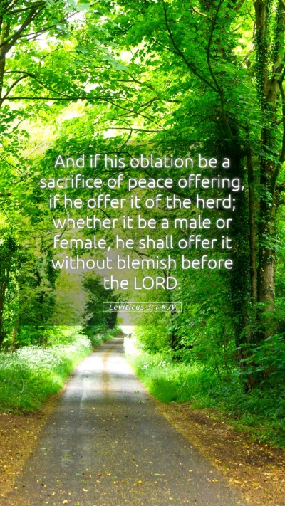 Picture 05 - Leviticus 3:1 KJV Mobile Phone Wallpaper - And if his oblation be a sacrifice of peace - Mobile Bible Verse Wallpaper