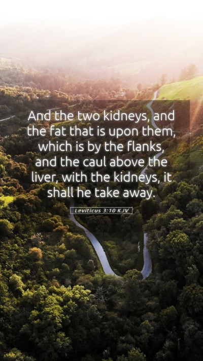 Picture 05 - Leviticus 3:10 KJV Mobile Phone Wallpaper - And the two kidneys, and the fat that is upon - Mobile Bible Verse Wallpaper