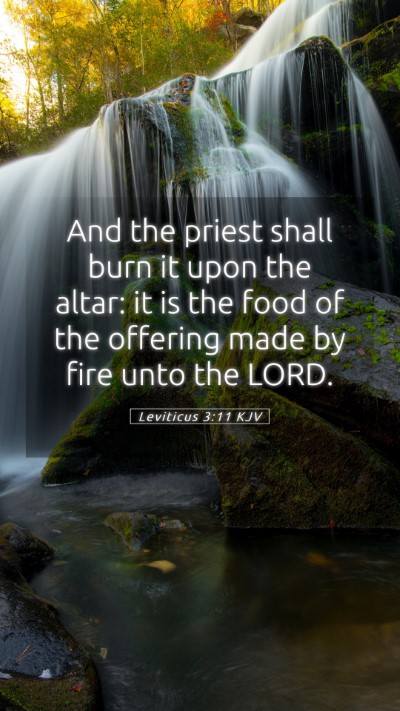 Picture 05 - Leviticus 3:11 KJV Mobile Phone Wallpaper - And the priest shall burn it upon the altar: it - Mobile Bible Verse Wallpaper