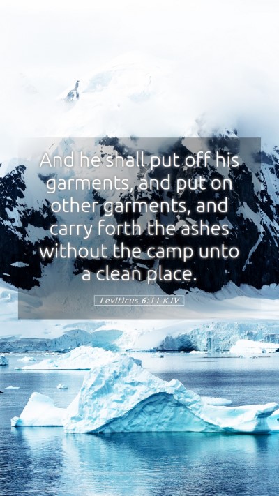 Picture 05 - Leviticus 6:11 KJV Mobile Phone Wallpaper - And he shall put off his garments, and put on - Mobile Bible Verse Wallpaper