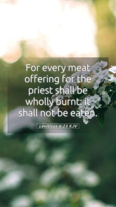 Picture 05 - Leviticus 6:23 KJV Mobile Phone Wallpaper - For every meat offering for the priest shall be - Mobile Bible Verse Wallpaper