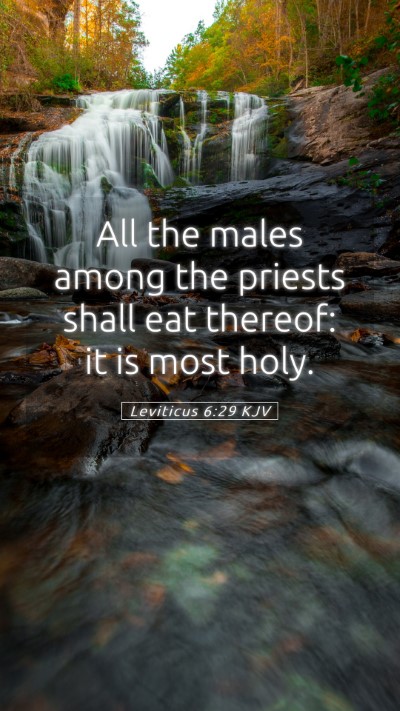 Picture 05 - Leviticus 6:29 KJV Mobile Phone Wallpaper - All the males among the priests shall eat - Mobile Bible Verse Wallpaper