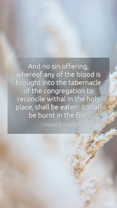 Picture 05 - Leviticus 6:30 KJV Mobile Phone Wallpaper - And no sin offering, whereof any of the blood is - Mobile Bible Verse Wallpaper