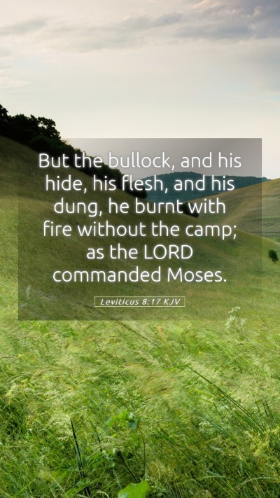 Picture 05 - Leviticus 8:17 KJV Mobile Phone Wallpaper - But the bullock, and his hide, his flesh, and his - Mobile Bible Verse Wallpaper