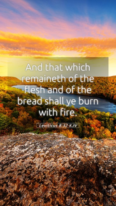 Picture 05 - Leviticus 8:32 KJV Mobile Phone Wallpaper - And that which remaineth of the flesh and of the - Mobile Bible Verse Wallpaper