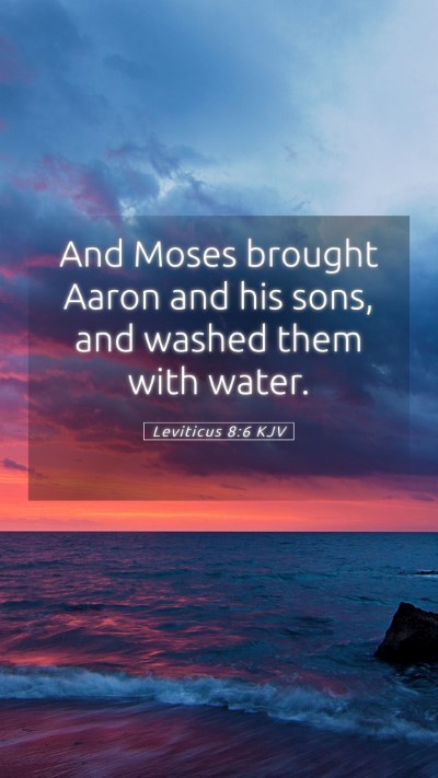 Picture 05 - Leviticus 8:6 KJV Mobile Phone Wallpaper - And Moses brought Aaron and his sons, and washed - Mobile Bible Verse Wallpaper