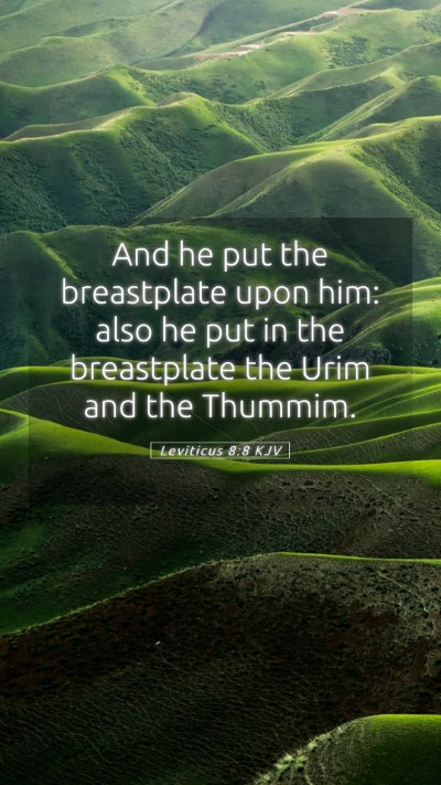 Picture 05 - Leviticus 8:8 KJV Mobile Phone Wallpaper - And he put the breastplate upon him: also he put - Mobile Bible Verse Wallpaper