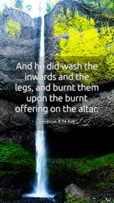 Picture 05 - Leviticus 9:14 KJV Mobile Phone Wallpaper - And he did wash the inwards and the legs, and - Mobile Bible Verse Wallpaper
