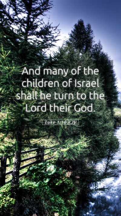Picture 05 - Luke 1:16 KJV Mobile Phone Wallpaper - And many of the children of Israel shall he turn - Mobile Bible Verse Wallpaper