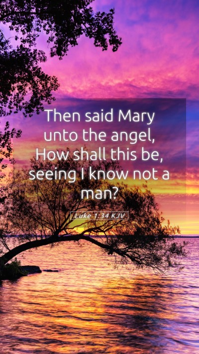 Picture 05 - Luke 1:34 KJV Mobile Phone Wallpaper - Then said Mary unto the angel, How shall this be, - Mobile Bible Verse Wallpaper