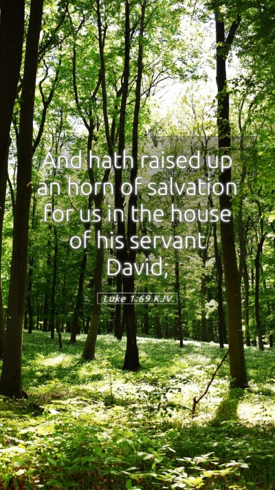 Picture 05 - Luke 1:69 KJV Mobile Phone Wallpaper - And hath raised up an horn of salvation for us in - Mobile Bible Verse Wallpaper