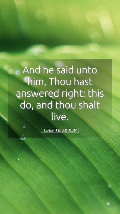 Picture 05 - Luke 10:28 KJV Mobile Phone Wallpaper - And he said unto him, Thou hast answered right: - Mobile Bible Verse Wallpaper