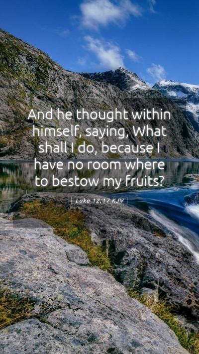 Picture 05 - Luke 12:17 KJV Mobile Phone Wallpaper - And he thought within himself, saying, What shall - Mobile Bible Verse Wallpaper