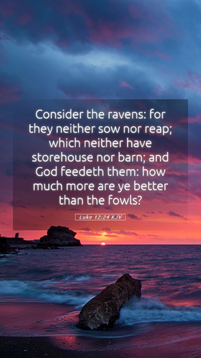 Picture 05 - Luke 12:24 KJV Mobile Phone Wallpaper - Consider the ravens: for they neither sow nor - Mobile Bible Verse Wallpaper