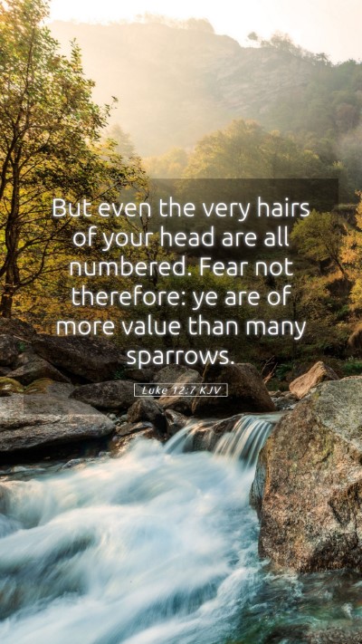 Picture 05 - Luke 12:7 KJV Mobile Phone Wallpaper - But even the very hairs of your head are all - Mobile Bible Verse Wallpaper