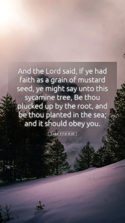 Picture 05 - Luke 17:6 KJV Mobile Phone Wallpaper - And the Lord said, If ye had faith as a grain of - Mobile Bible Verse Wallpaper