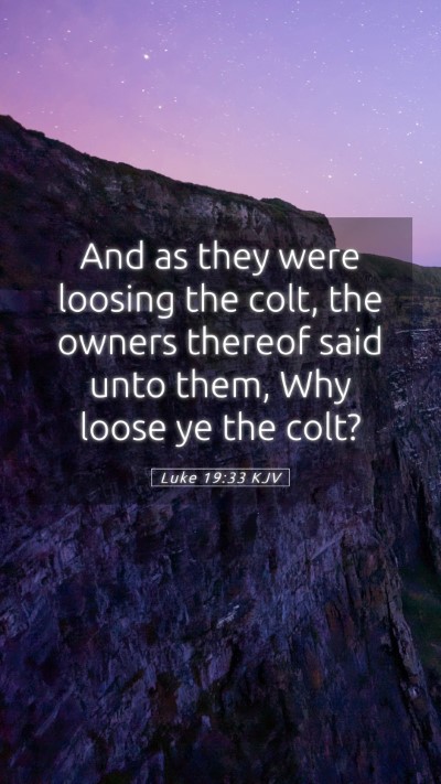 Picture 05 - Luke 19:33 KJV Mobile Phone Wallpaper - And as they were loosing the colt, the owners - Mobile Bible Verse Wallpaper