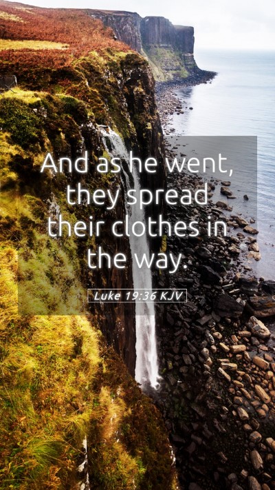Picture 05 - Luke 19:36 KJV Mobile Phone Wallpaper - And as he went, they spread their clothes in the - Mobile Bible Verse Wallpaper