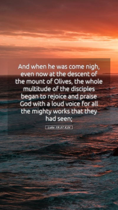 Picture 05 - Luke 19:37 KJV Mobile Phone Wallpaper - And when he was come nigh, even now at the - Mobile Bible Verse Wallpaper
