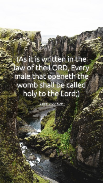 Picture 05 - Luke 2:23 KJV Mobile Phone Wallpaper - (As it is written in the law of the LORD, Every - Mobile Bible Verse Wallpaper