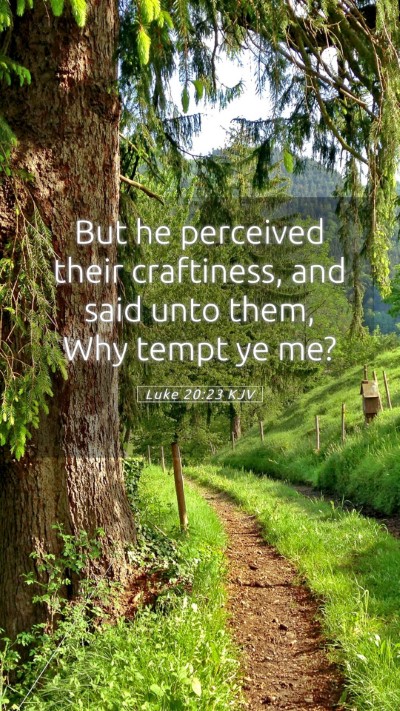 Picture 05 - Luke 20:23 KJV Mobile Phone Wallpaper - But he perceived their craftiness, and said unto - Mobile Bible Verse Wallpaper