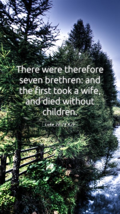 Picture 05 - Luke 20:29 KJV Mobile Phone Wallpaper - There were therefore seven brethren: and the - Mobile Bible Verse Wallpaper