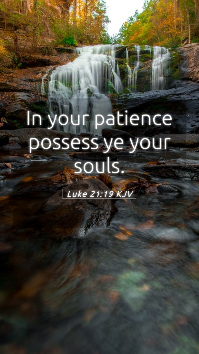 Picture 05 - Luke 21:19 KJV Mobile Phone Wallpaper - In your patience possess ye your - Mobile Bible Verse Wallpaper