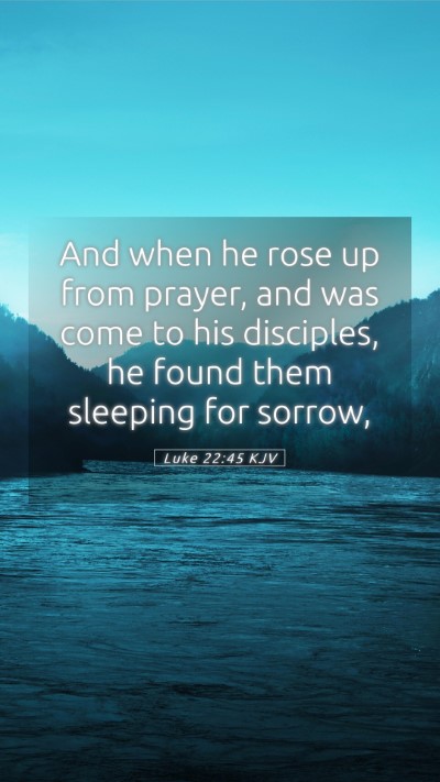 Picture 05 - Luke 22:45 KJV Mobile Phone Wallpaper - And when he rose up from prayer, and was come to - Mobile Bible Verse Wallpaper