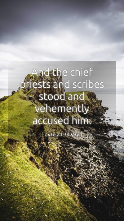 Picture 05 - Luke 23:10 KJV Mobile Phone Wallpaper - And the chief priests and scribes stood and - Mobile Bible Verse Wallpaper