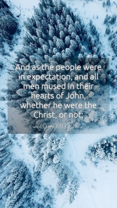 Picture 05 - Luke 3:15 KJV Mobile Phone Wallpaper - And as the people were in expectation, and all - Mobile Bible Verse Wallpaper