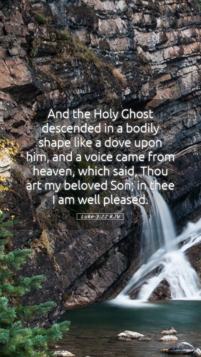Picture 05 - Luke 3:22 KJV Mobile Phone Wallpaper - And the Holy Ghost descended in a bodily shape - Mobile Bible Verse Wallpaper