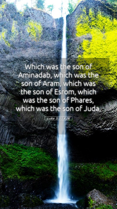Picture 05 - Luke 3:33 KJV Mobile Phone Wallpaper - Which was the son of Aminadab, which was the son - Mobile Bible Verse Wallpaper