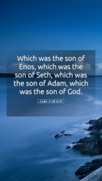 Picture 05 - Luke 3:38 KJV Mobile Phone Wallpaper - Which was the son of Enos, which was the son of - Mobile Bible Verse Wallpaper