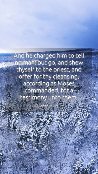 Picture 05 - Luke 5:14 KJV Mobile Phone Wallpaper - And he charged him to tell no man: but go, and - Mobile Bible Verse Wallpaper
