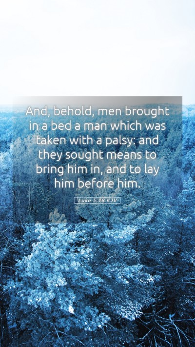 Picture 05 - Luke 5:18 KJV Mobile Phone Wallpaper - And, behold, men brought in a bed a man which was - Mobile Bible Verse Wallpaper