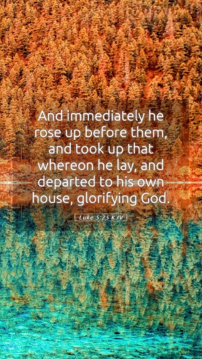 Picture 05 - Luke 5:25 KJV Mobile Phone Wallpaper - And immediately he rose up before them, and took - Mobile Bible Verse Wallpaper