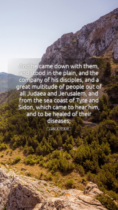 Picture 05 - Luke 6:17 KJV Mobile Phone Wallpaper - And he came down with them, and stood in the - Mobile Bible Verse Wallpaper