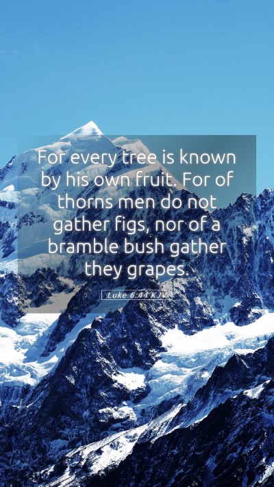 Picture 05 - Luke 6:44 KJV Mobile Phone Wallpaper - For every tree is known by his own fruit. For of - Mobile Bible Verse Wallpaper