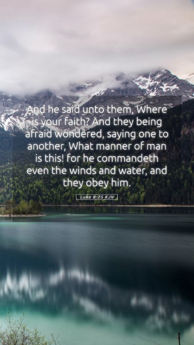 Picture 05 - Luke 8:25 KJV Mobile Phone Wallpaper - And he said unto them, Where is your faith? And - Mobile Bible Verse Wallpaper