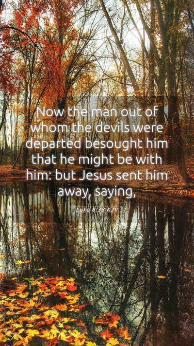 Picture 05 - Luke 8:38 KJV Mobile Phone Wallpaper - Now the man out of whom the devils were departed - Mobile Bible Verse Wallpaper