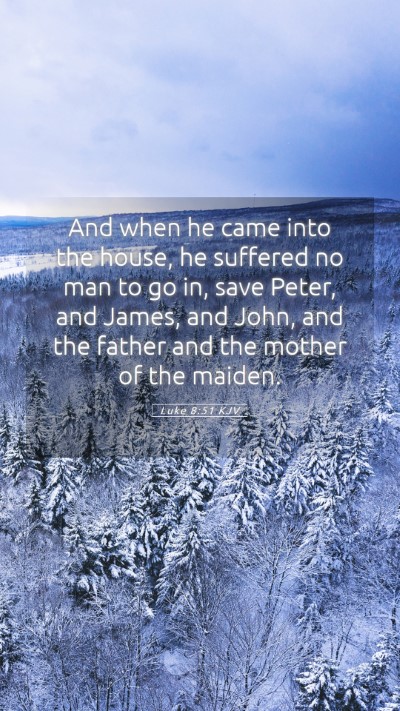 Picture 05 - Luke 8:51 KJV Mobile Phone Wallpaper - And when he came into the house, he suffered no - Mobile Bible Verse Wallpaper