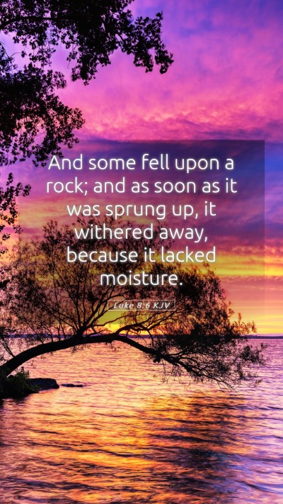 Picture 05 - Luke 8:6 KJV Mobile Phone Wallpaper - And some fell upon a rock; and as soon as it was - Mobile Bible Verse Wallpaper