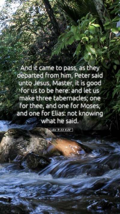 Picture 05 - Luke 9:33 KJV Mobile Phone Wallpaper - And it came to pass, as they departed from him, - Mobile Bible Verse Wallpaper