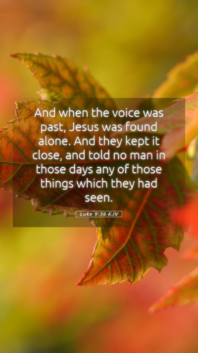 Picture 05 - Luke 9:36 KJV Mobile Phone Wallpaper - And when the voice was past, Jesus was found - Mobile Bible Verse Wallpaper