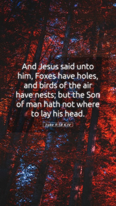 Picture 05 - Luke 9:58 KJV Mobile Phone Wallpaper - And Jesus said unto him, Foxes have holes, and - Mobile Bible Verse Wallpaper