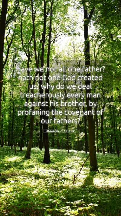 Picture 05 - Malachi 2:10 KJV Mobile Phone Wallpaper - Have we not all one father? hath not one God - Mobile Bible Verse Wallpaper