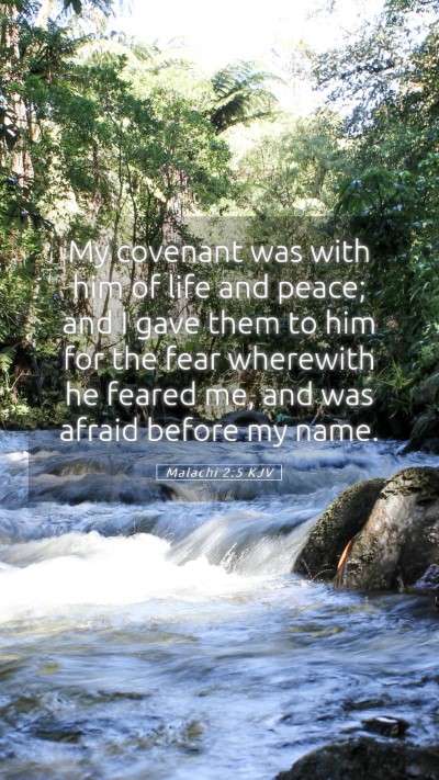 Picture 05 - Malachi 2:5 KJV Mobile Phone Wallpaper - My covenant was with him of life and peace; and I - Mobile Bible Verse Wallpaper