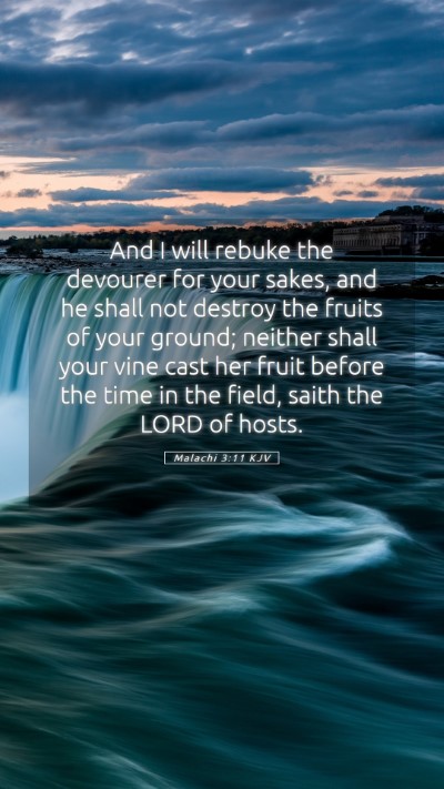 Picture 05 - Malachi 3:11 KJV Mobile Phone Wallpaper - And I will rebuke the devourer for your sakes, - Mobile Bible Verse Wallpaper